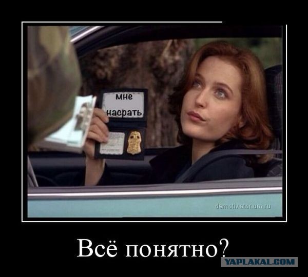 Боянистые картинки 11.12.20