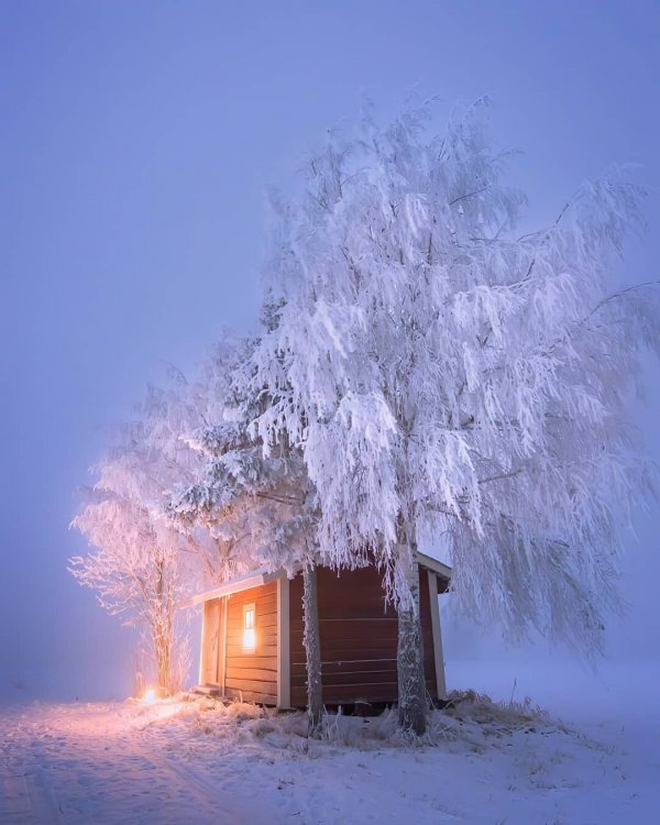 Прикольные и просто красивые картинки 12.02.2021