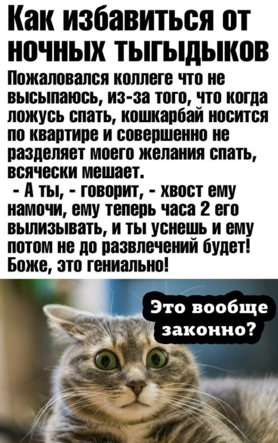 Картинки и мемы для настроения 018