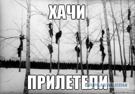 Стоп Хам 53 Баклажан / Nigga