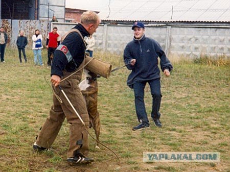 Собака напала на ребенка