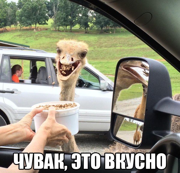 Просто фото...