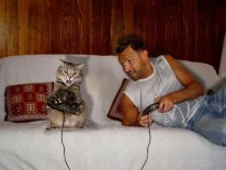 Кот и мужик делят диван