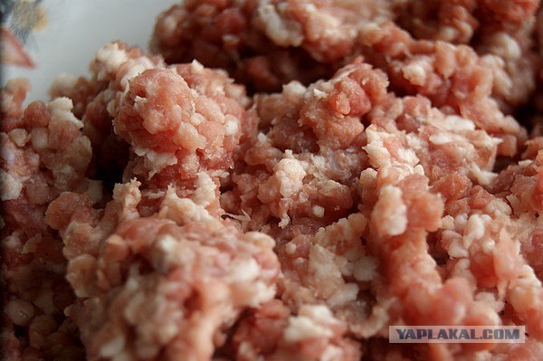 International одной книги., В память о Дженибеке.