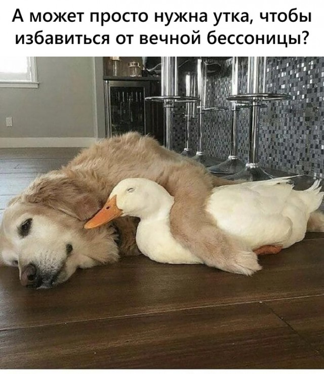 Картинки и мемы для настроения 30.09.2021