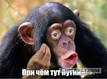 Дизель по 56.99...