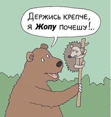 Жестокое нападение ежа на спящего медведя