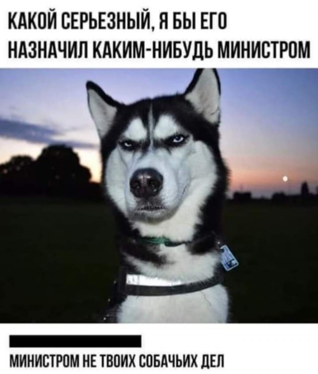 Забавные комментарии из социальных сетей (09.01.23)