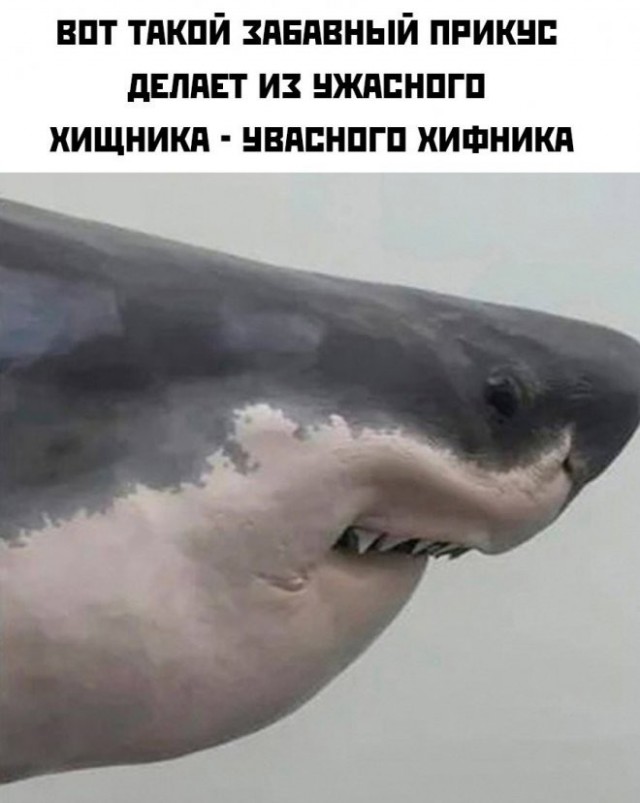 Нуштош 11.03.23