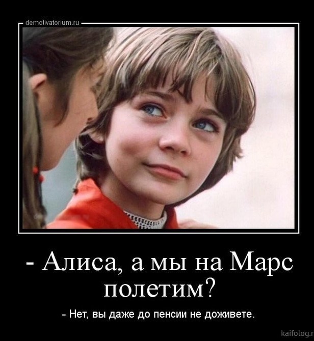 О табаке, пиве и котах