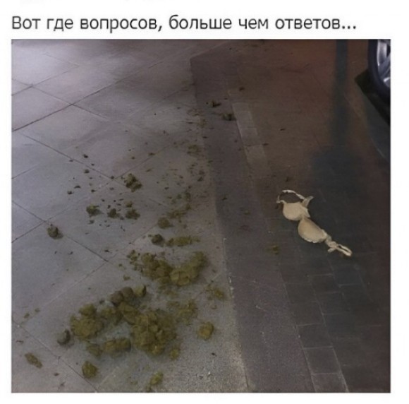 Картинки разнообразные