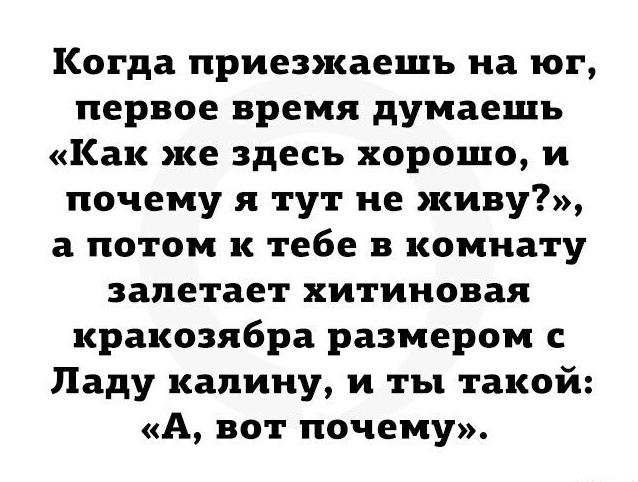 Так себе картинки 03.10.23