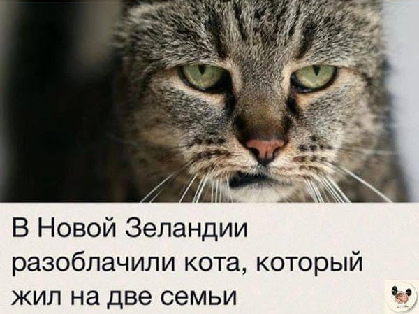Так себе картинки 27.12.23