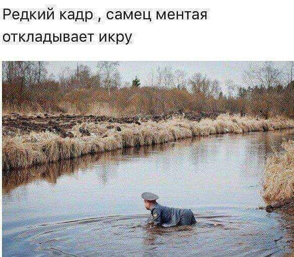 Разножанровые картинки. Без определённого смысла