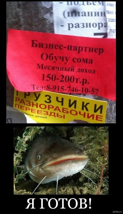 Яязььь!