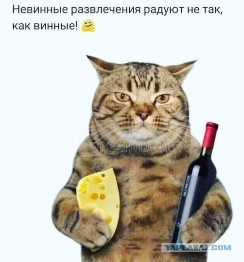Веселые картинки в понедельник (23.12)