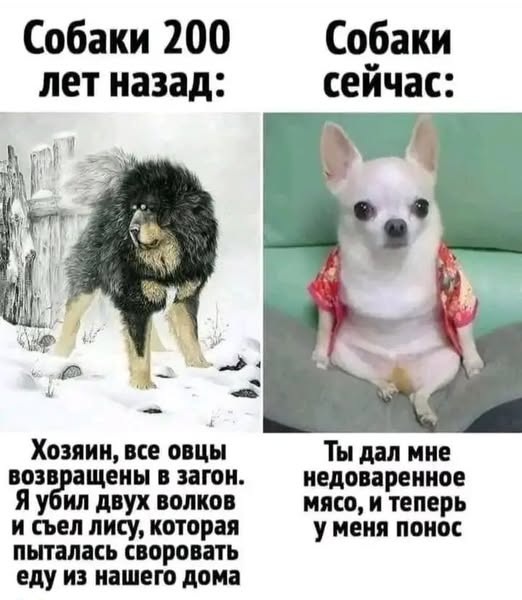 Завалялось тут случайно немного забавных картинок