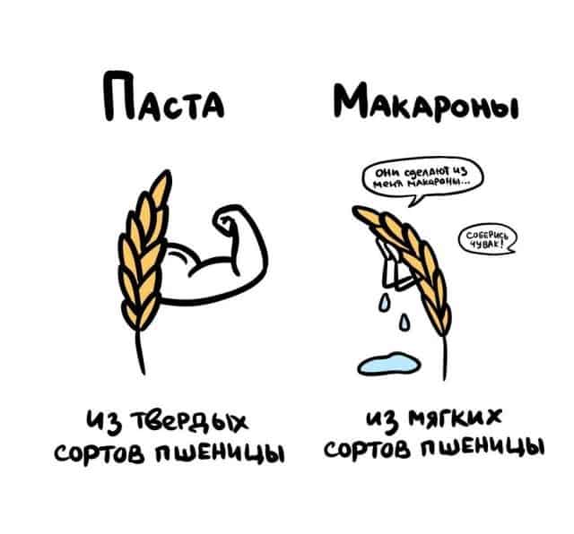 Иногда это мы путаем