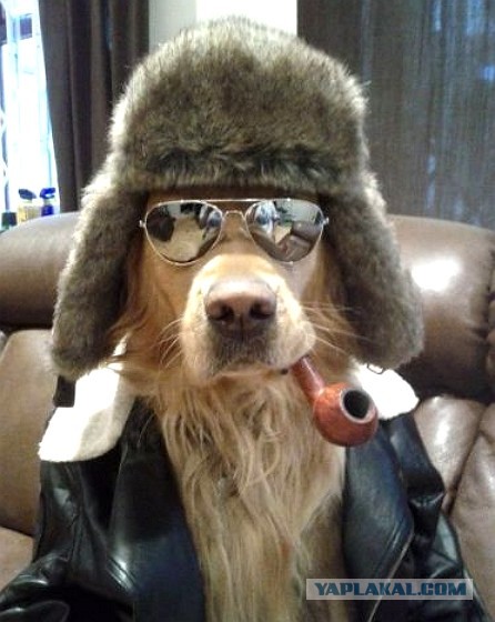 А давайте еще фотаться!