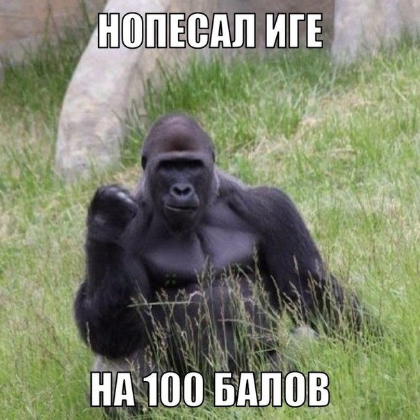 Москвичам дали выбор