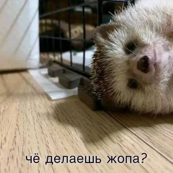 Маленькая пятница 23.07