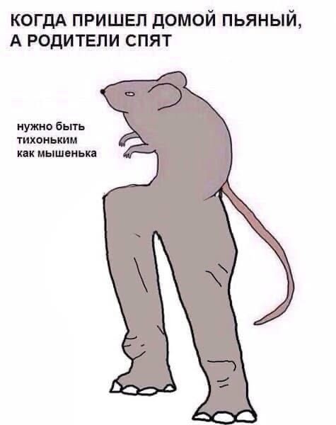 Так себе картинки 08.09.25