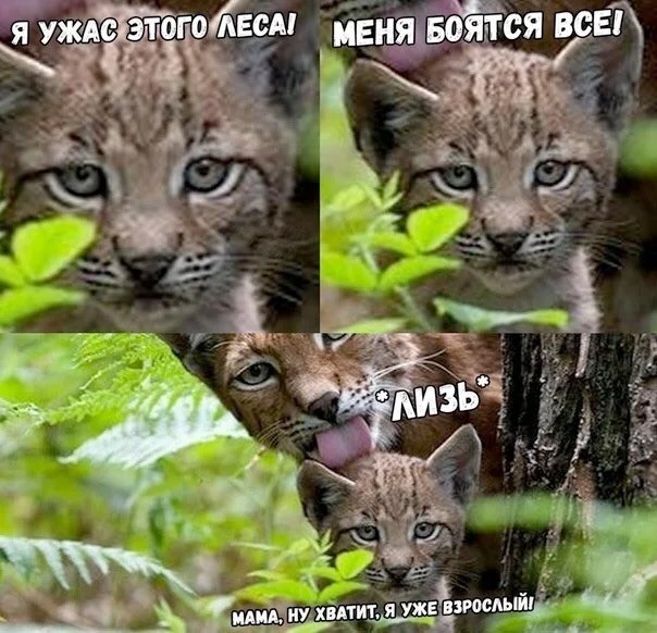 Октябрь, день десятый …