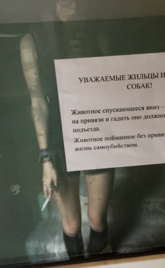 Питерская культура