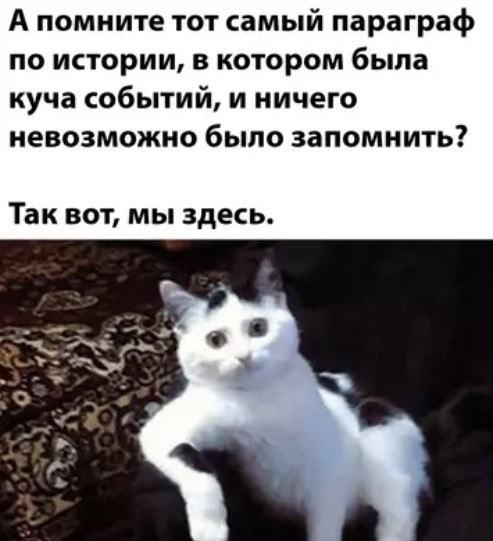 Котямбосы