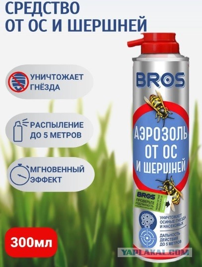 Уничтожение гнёзд желто-черной нечисти.