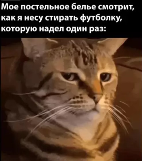 Картиночки, баянчики 26 апреля