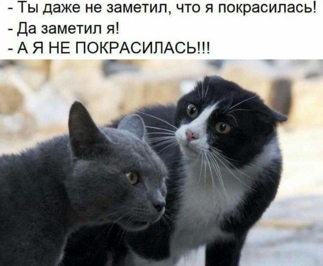 Мужская ответочка