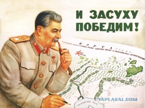 Для чего в Китае решётки на дюнах⁠⁠