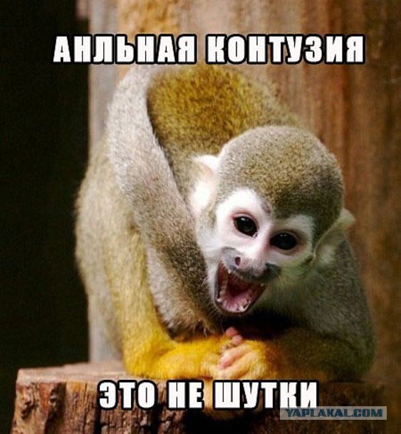 Юноша на S600 без прав и совершил ДТП в  МСК
