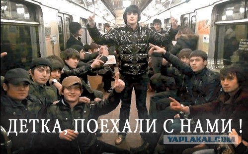 Фраза дня