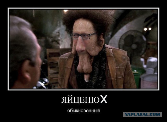 Яйценюк