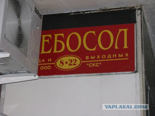 25 НЕцензурных брендов