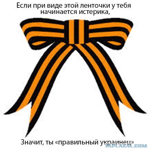 Юго-восток ни шагу назад!