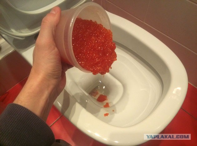 Рецепт закуски на каждый день !