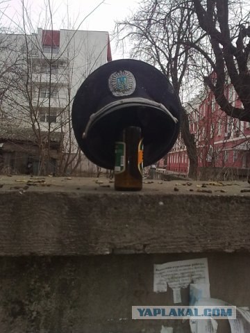 Полиция в разных странах