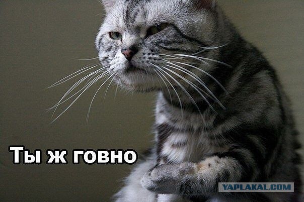 10 дней на мирное урегулирование ситуации