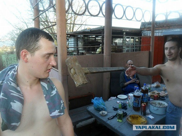 Шта,простите?