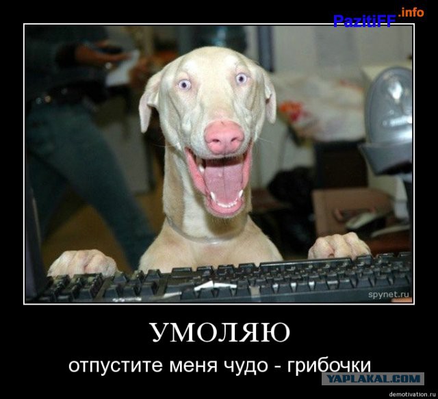 Улыбнуло часть "2"