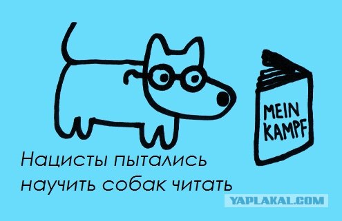 Забавные минифакты в картинках