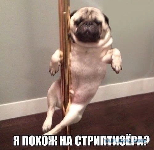 Комментарии и картинки из соц. сетей