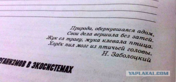 Чёрт, чёрт, чёрт!