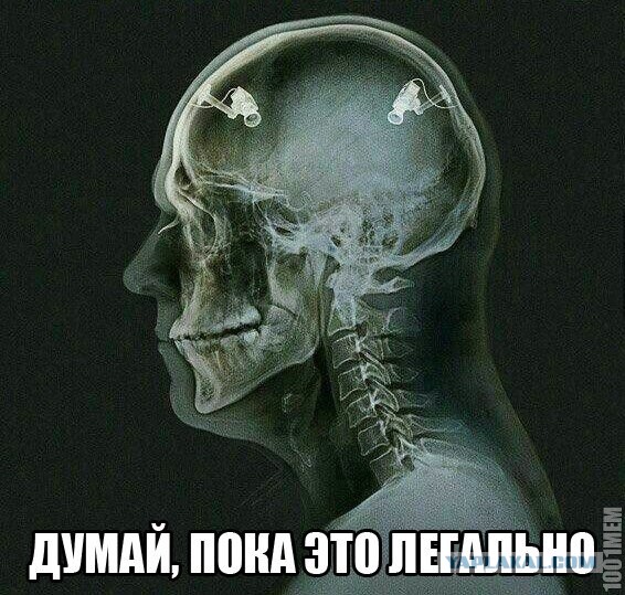 Чёрный юмор