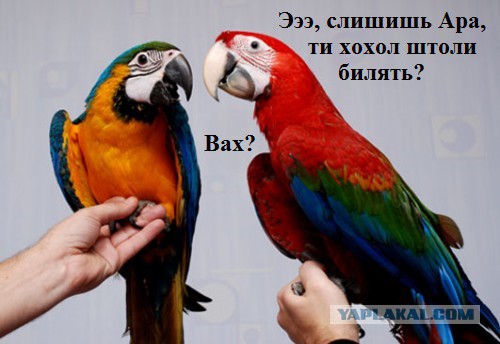 В Москве вышку электропередачи перекрасили