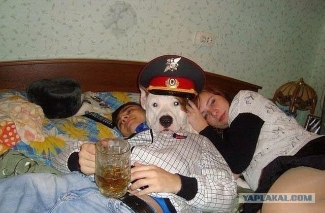 Показалось...