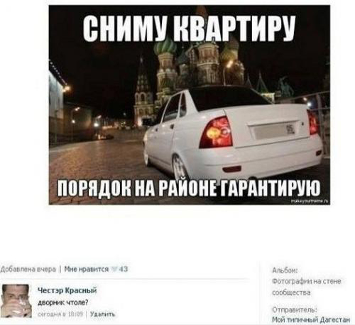 Подборка весёлых картинок